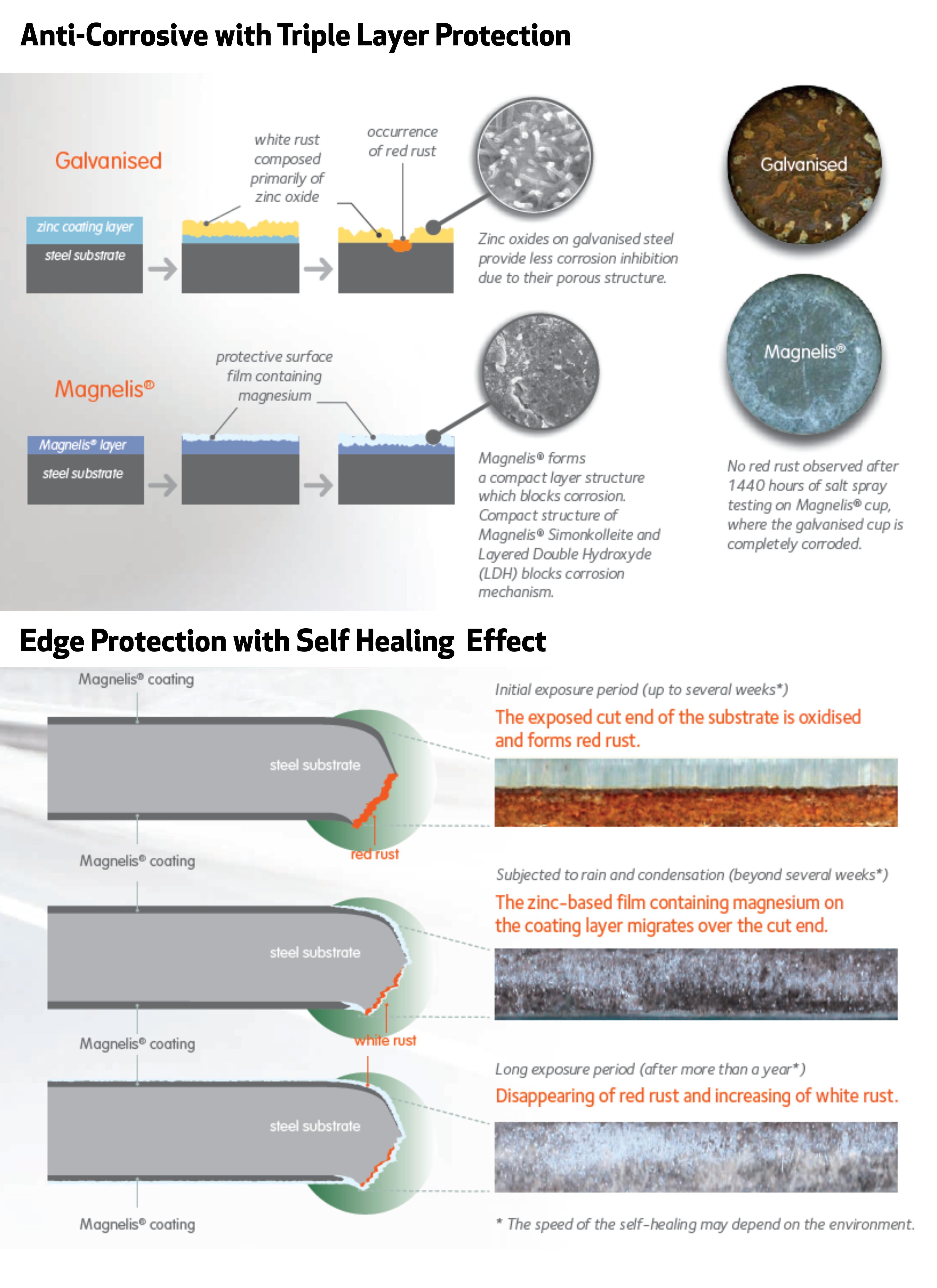 Line Drawing for TB1000BP-EVO